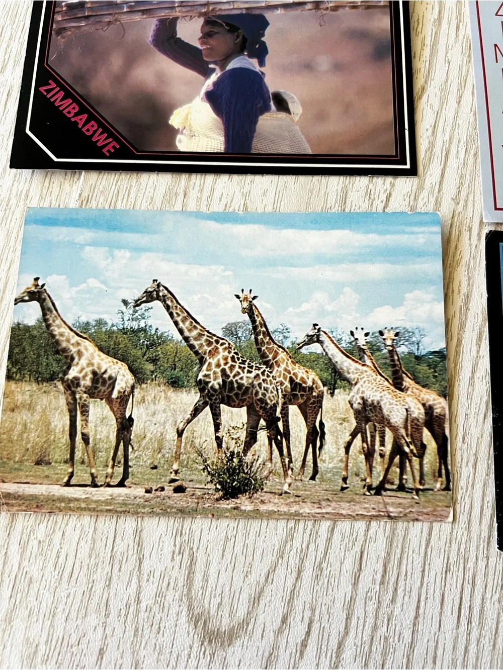 Set of 6 Vintage African Zimbabwe Post Cards